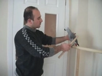 Papağan Eğitimi Teknikleri